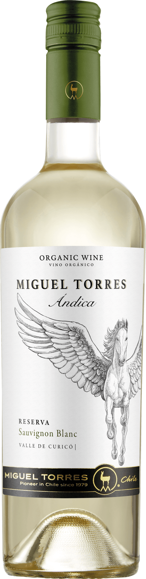 Miguel Torres Chile Andica Sauvignon Blanc Reserva - 2024