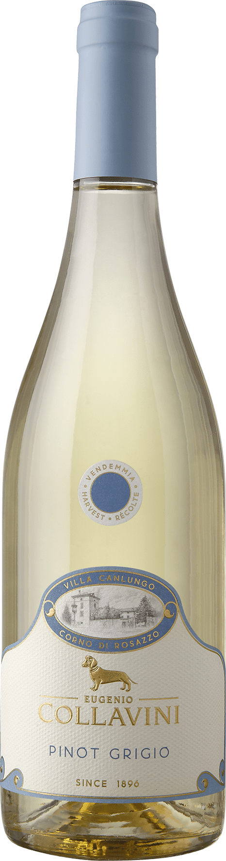 Villa Canlungo Pinot Grigio Friuli Venezia Giulia DOC - 2025