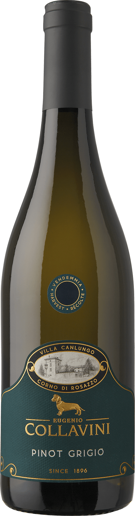 Collavini Villa Canlungo Pinot Grigio Collio DOC - 2025