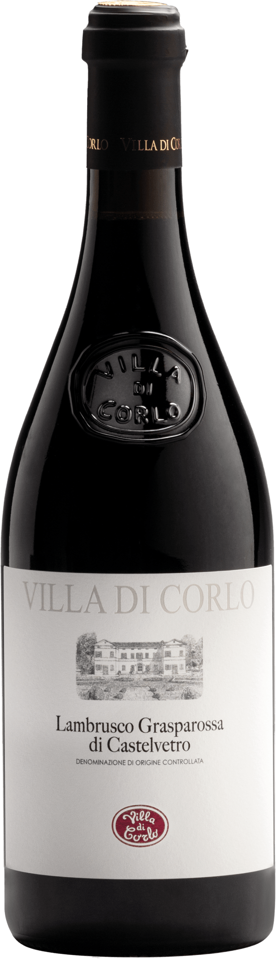 Lambrusco Grasparossa di Castelvetro DOC Secco - 2025