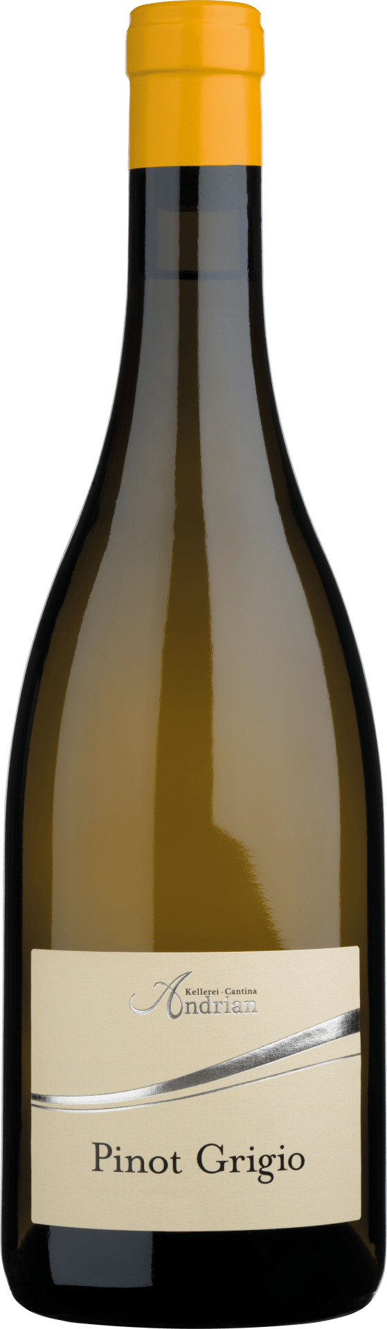Cantina Andrian Pinot Grigio DOC - 2025