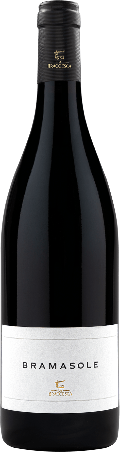 La Braccesca Bramasole Syrah Cortona - 2021
