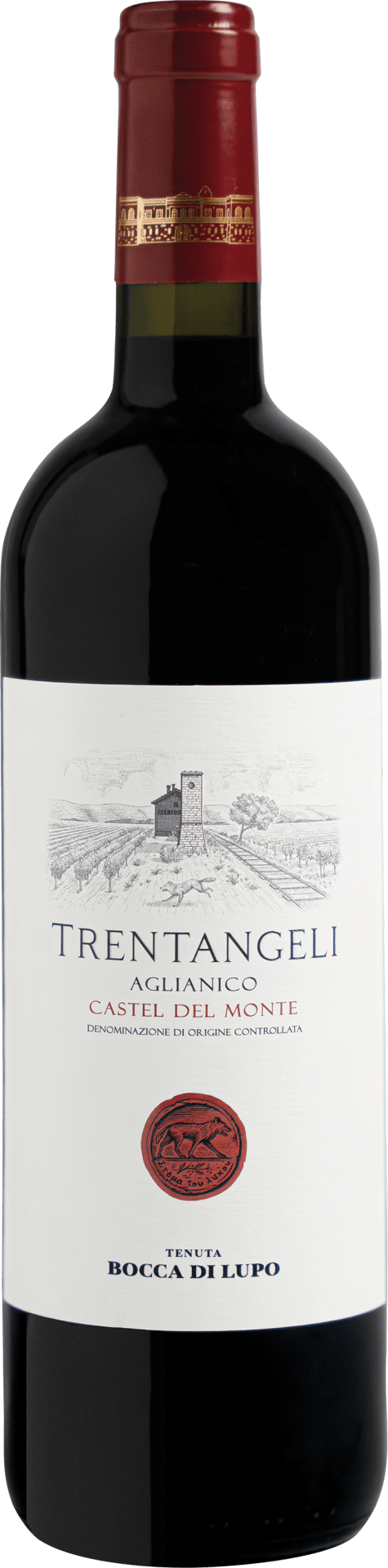 Trentangeli Castel del Monte DOC - 2021