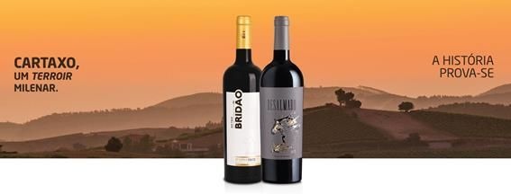 Cartaxo Desalmado Top Rotwein 2015