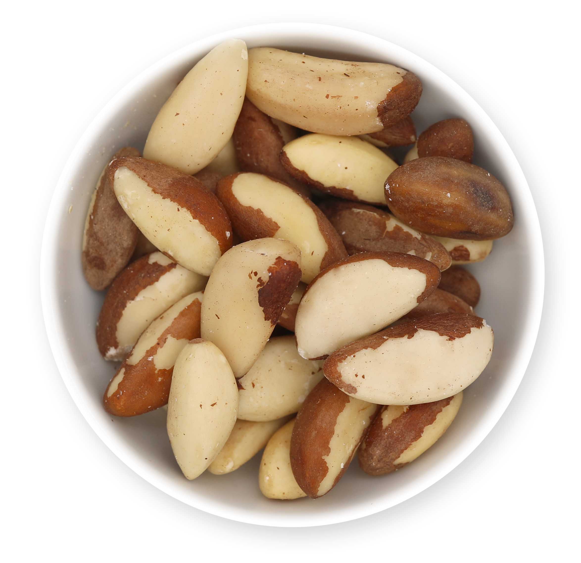 Paranusskerne aus Bolivien - Limitierte Qualität -