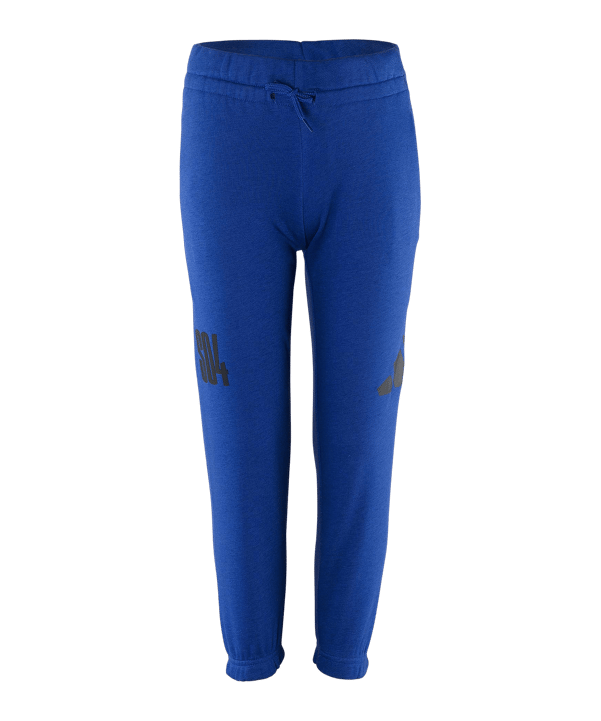 adidas FC Schalke 04 Essentials Jogginghose Kids Blau