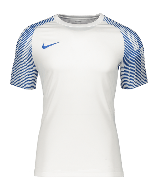 Nike Academy Trikot Kids Weiss Blau F102