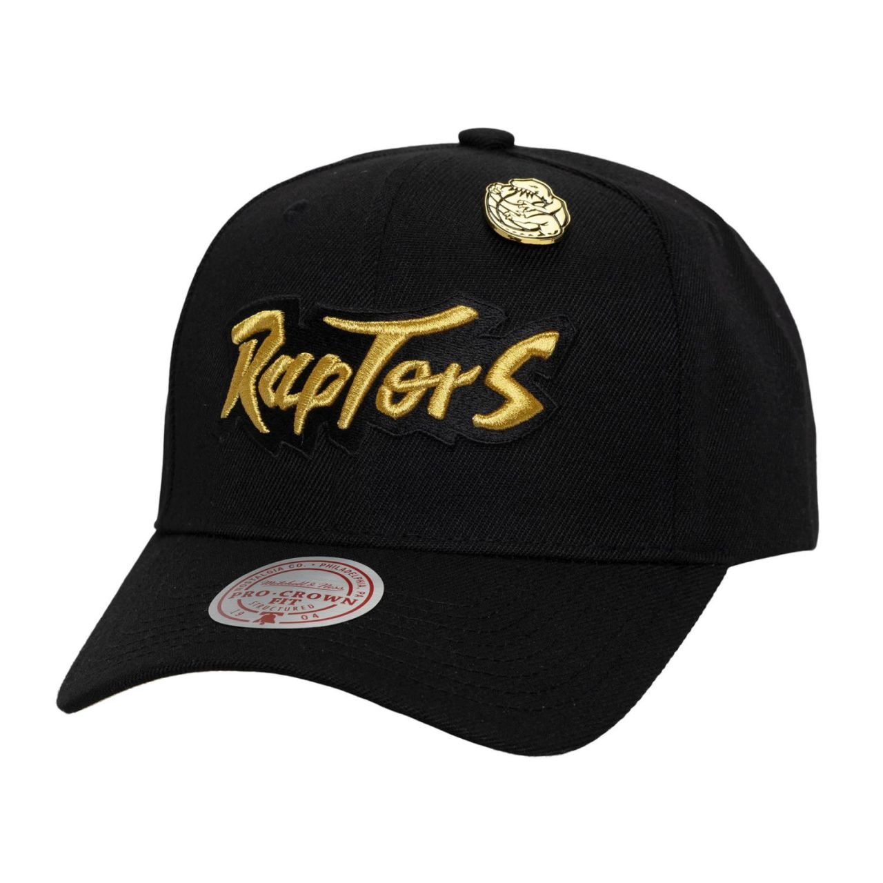 Mitchell & Ness Snapback PRO Cap - PINNED Toronto Raptors