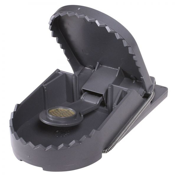 Swissinno Rattenfalle SuperCat mit Naturköder, Schlagfalle, ohne Gift