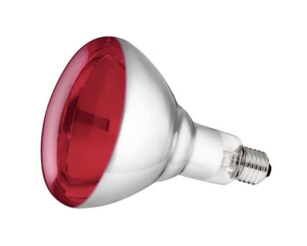 Philips Hartglas-Infrarotlampe, rot, 250 Watt, für Infrarot-Aufzuch...