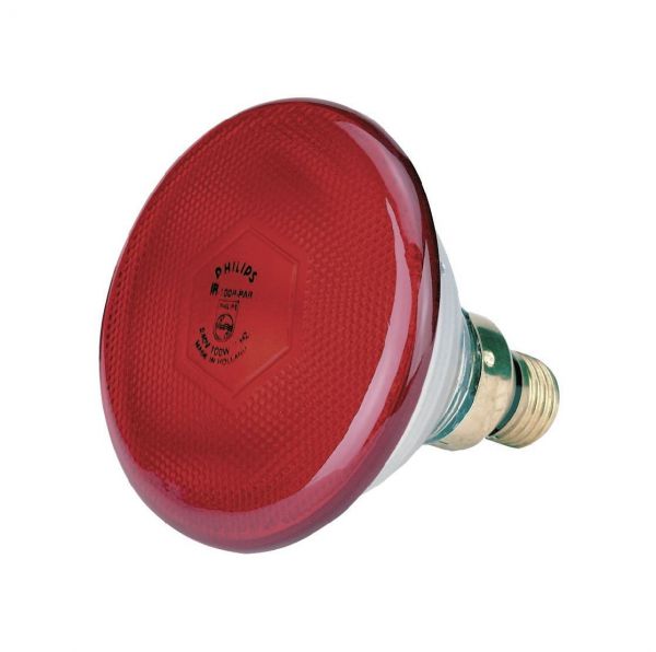 Philips Infrarot-Sparlampe, rot, 175 Watt, für Infrarot-Aufzuchtstr...