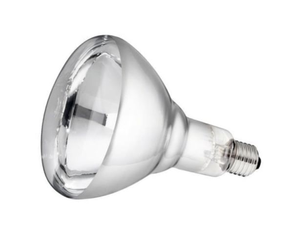 Philips Hartglas-Infrarotlampe, weiß, 150 Watt, für Infrarot-Aufzuc...