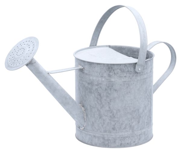 Zinkgießkanne 6 Liter, Altzink Gießkanne, Vintage Dekogießkanne, Bl...