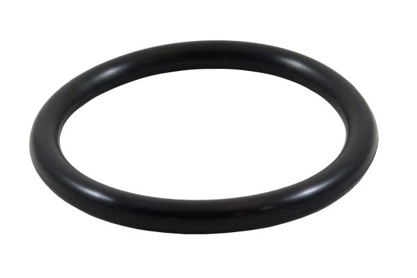 Suevia O-Ring (47 x 5,33) für Einschraubheizkörper von Mod. 300, 30...