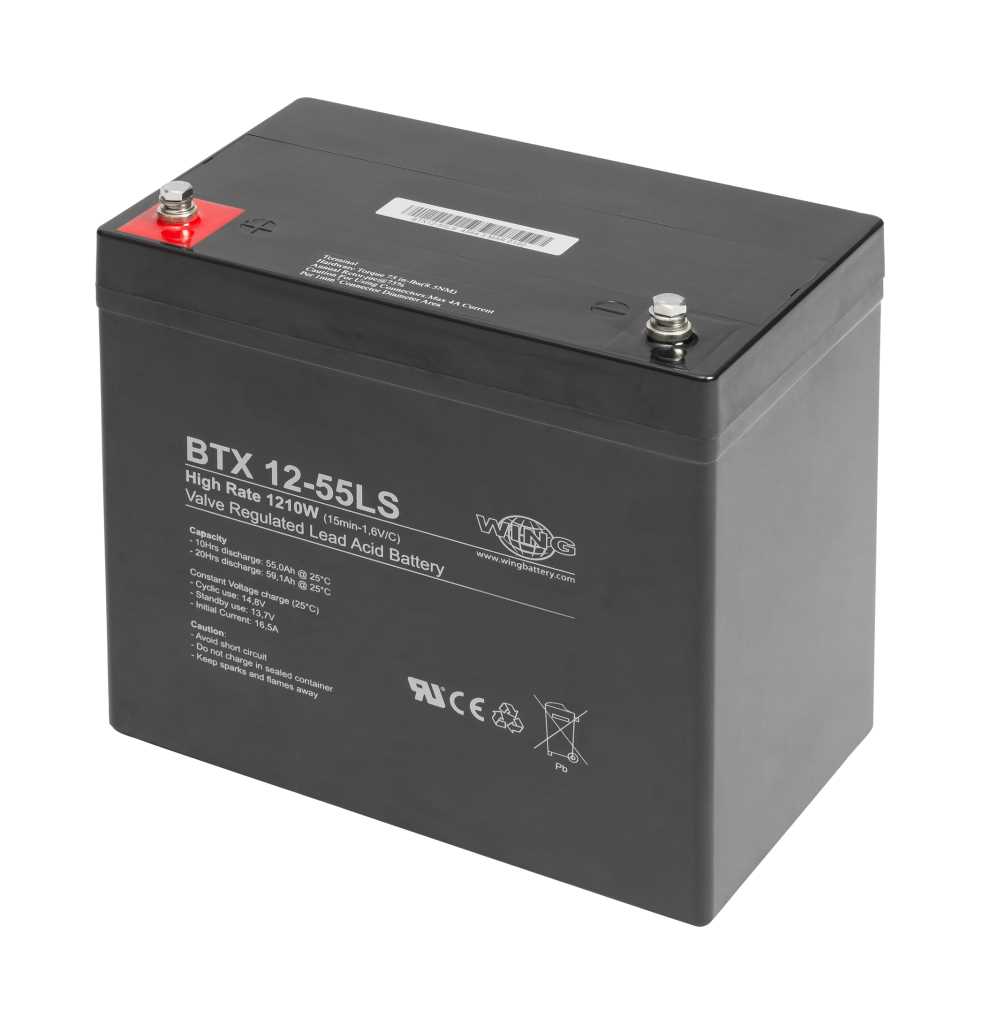 Wing BTX12-55LS 12V 55Ah high rate hochstromfähig Bleiakku AGM Blei Gel Akku