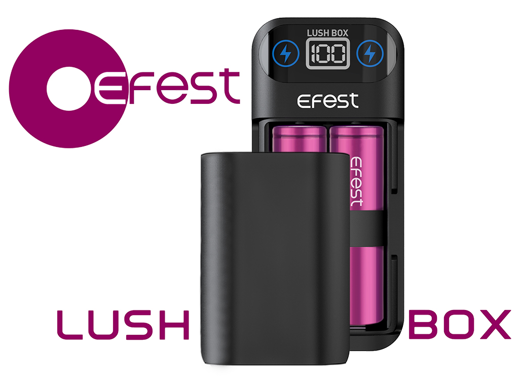 Efest 18650 3,6V -3,7V Lush Box Powerbank Ladegerät für Lithium Ionen Akkus