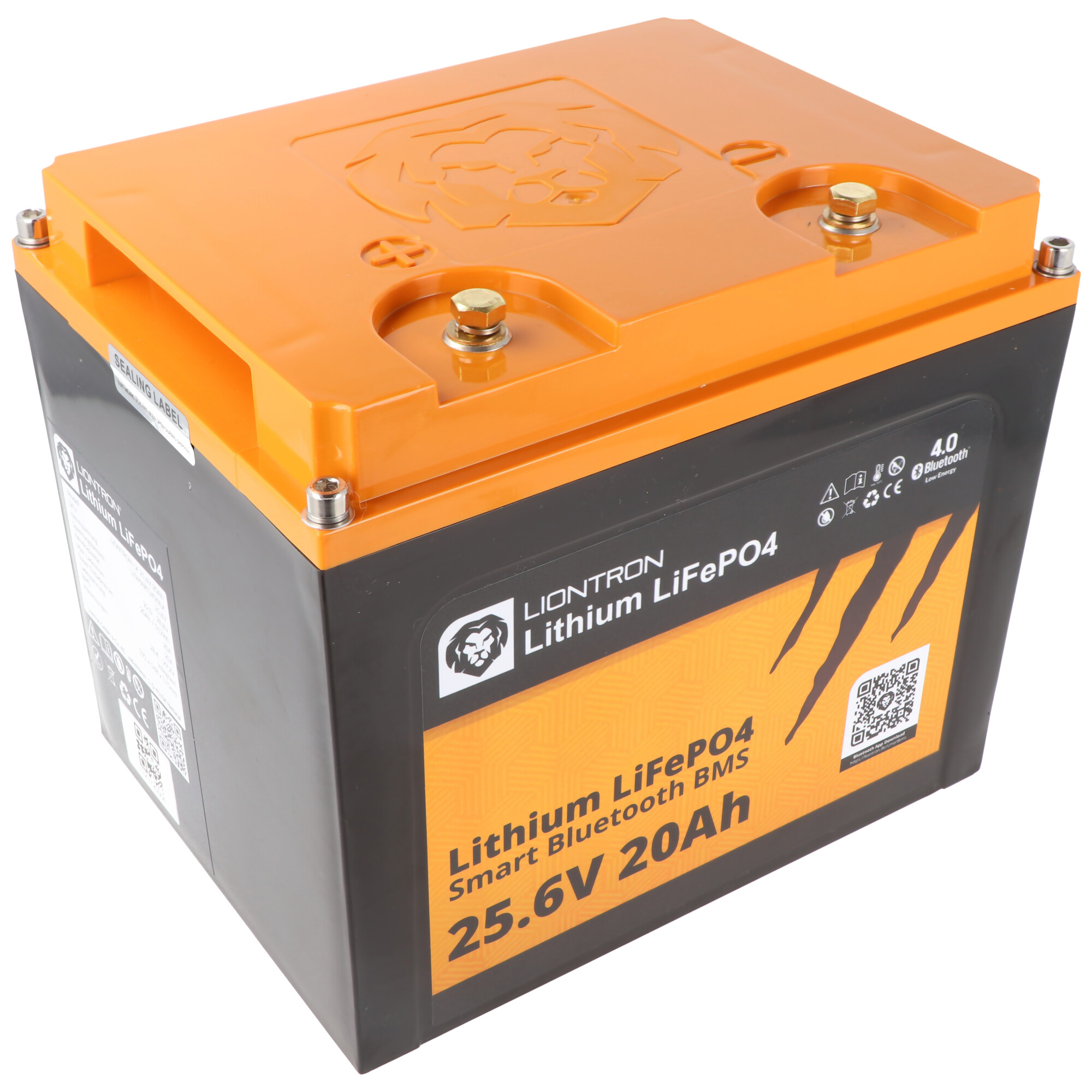 LIONTRON LiFePO4 Akku Smart BMS 25,6V, 20Ah - Vollwertiger Ersatz für 24 Volt Blei-Akkus