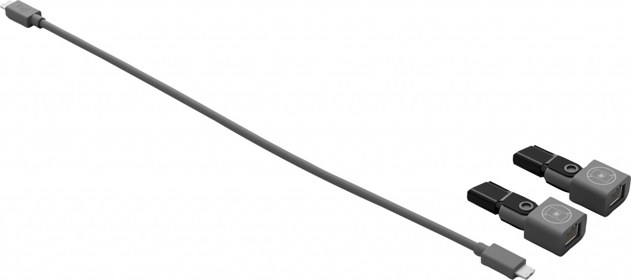 Logitech Mikrofon Netzwerkkoppler, ConferenceCam RALLY Kabel 21.5cm, 2x Netzwerkkoppler