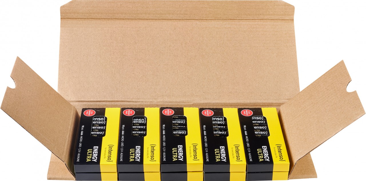 Intenso Batterie Alkaline, Micro, AAA, LR03, 1.5Volt – Energy Ultra (100er Pack)