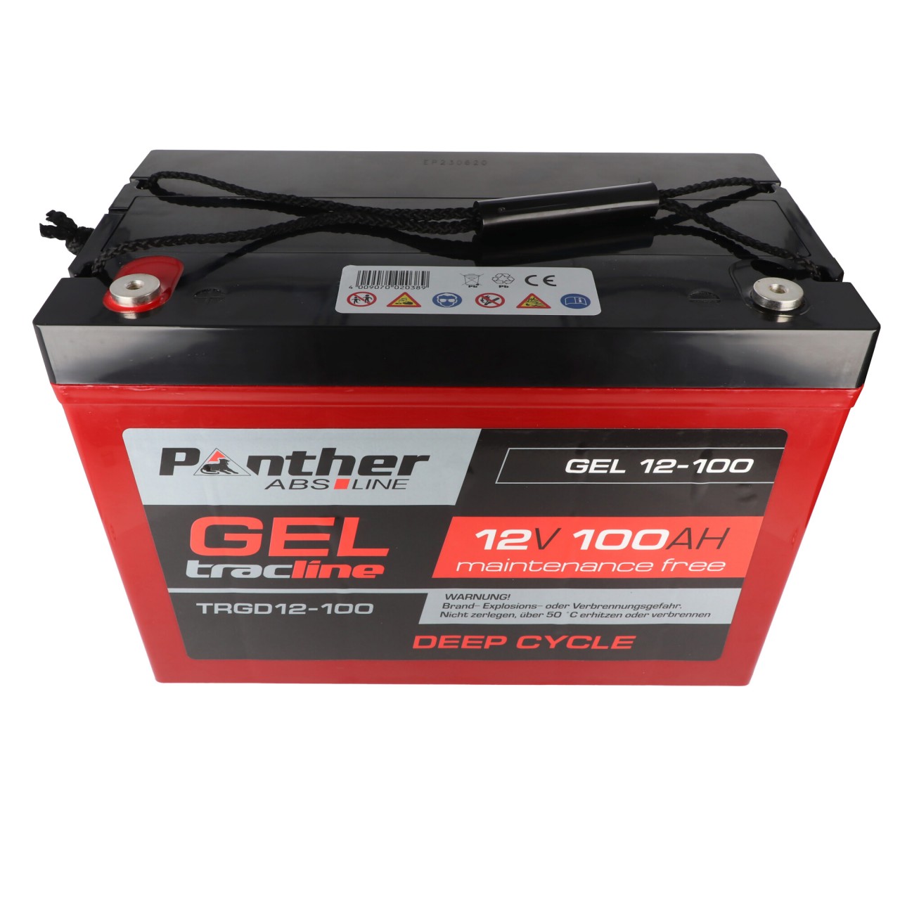 Panther tracline Gel Tiefentlade Cycle 12V 100Ah Bleiakku AGM Blei Gel Akku