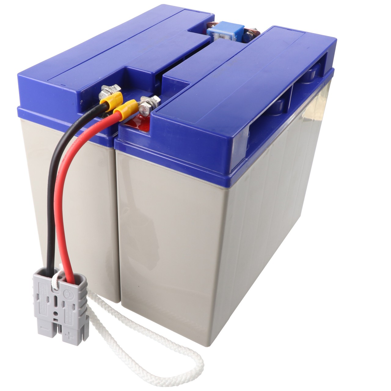 Akku passend für APC-RBC7, SU1000XLJ, SU1400, DLA1500I mit Kabel und Stecker