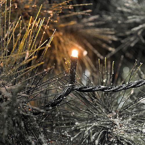 LED Lichterkette außen 400 bernsteinf. LED App gesteuert 6544-870