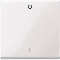 Wippe Kennzeichen 0/1 für Wippschalter-Einsatz, einteilige Wippe, glänzend