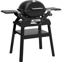 Gasgrill Q 1200N mit Stand