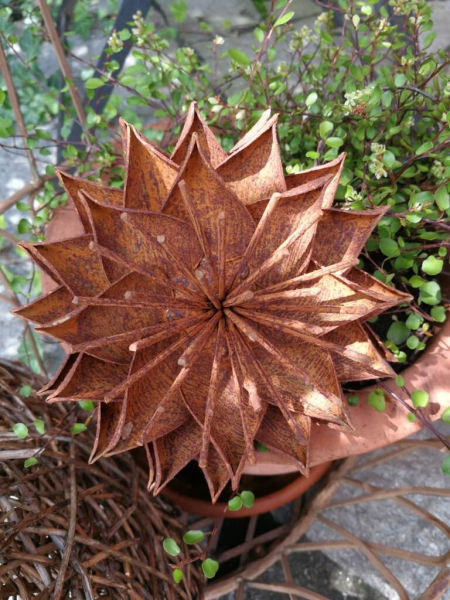 Edelrost Blume Electra, klein