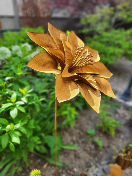 Edelrost Blume Jeanette, klein