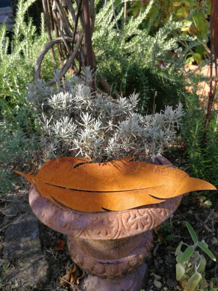 Edelrost Feder für Töpfe, Model (B)