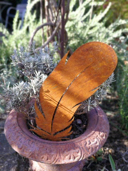 Edelrost Feder für Töpfe, Model (D)