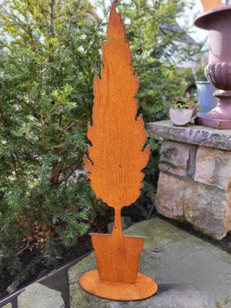 Edelrost Zypresse im Topf