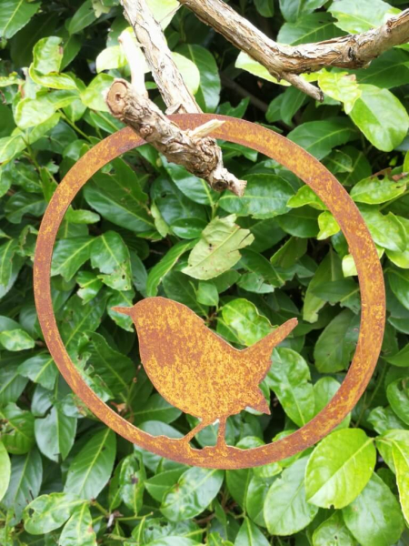 Edelrost Vogel im Ring, Zaunkönig