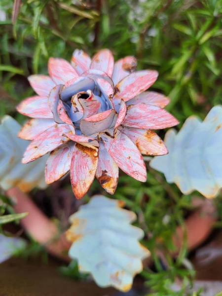 Vintage Topfstecker Blüte, pastell-rot