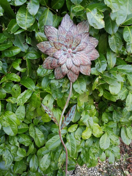 Blume Blossom, Vintage