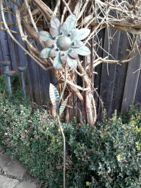 Blume Cherry, Vintage