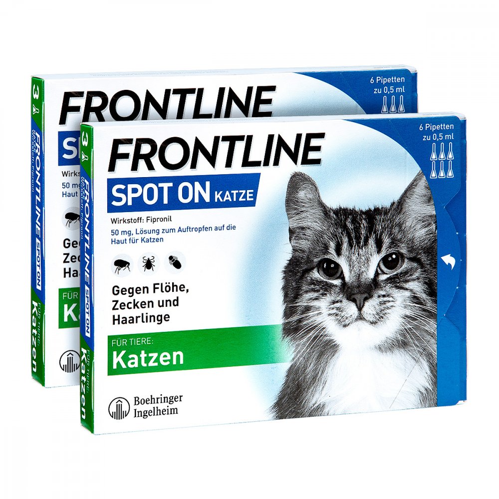 FRONTLINE SPOT ON Katze