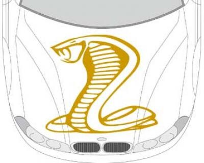 Autoaufkleber für die Motorhaube 'cobra Aufkleber'