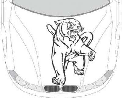 Autoaufkleber für die Motorhaube 'Tiger Aufkleber'