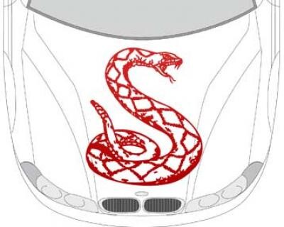 Autoaufkleber für die Motorhaube 'Schlangen Aufkleber'