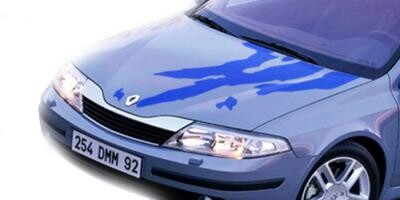 Autoaufkleber für die Motorhaube. 'car vinyl'