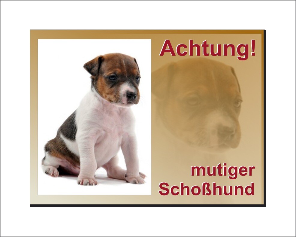Jack Russel Terrier-Schild - Vorsicht mutiger Schoßhund!