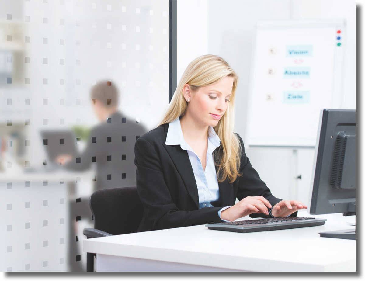 Fenster Sichtschutzfolie mit Motiv 'KAROS'