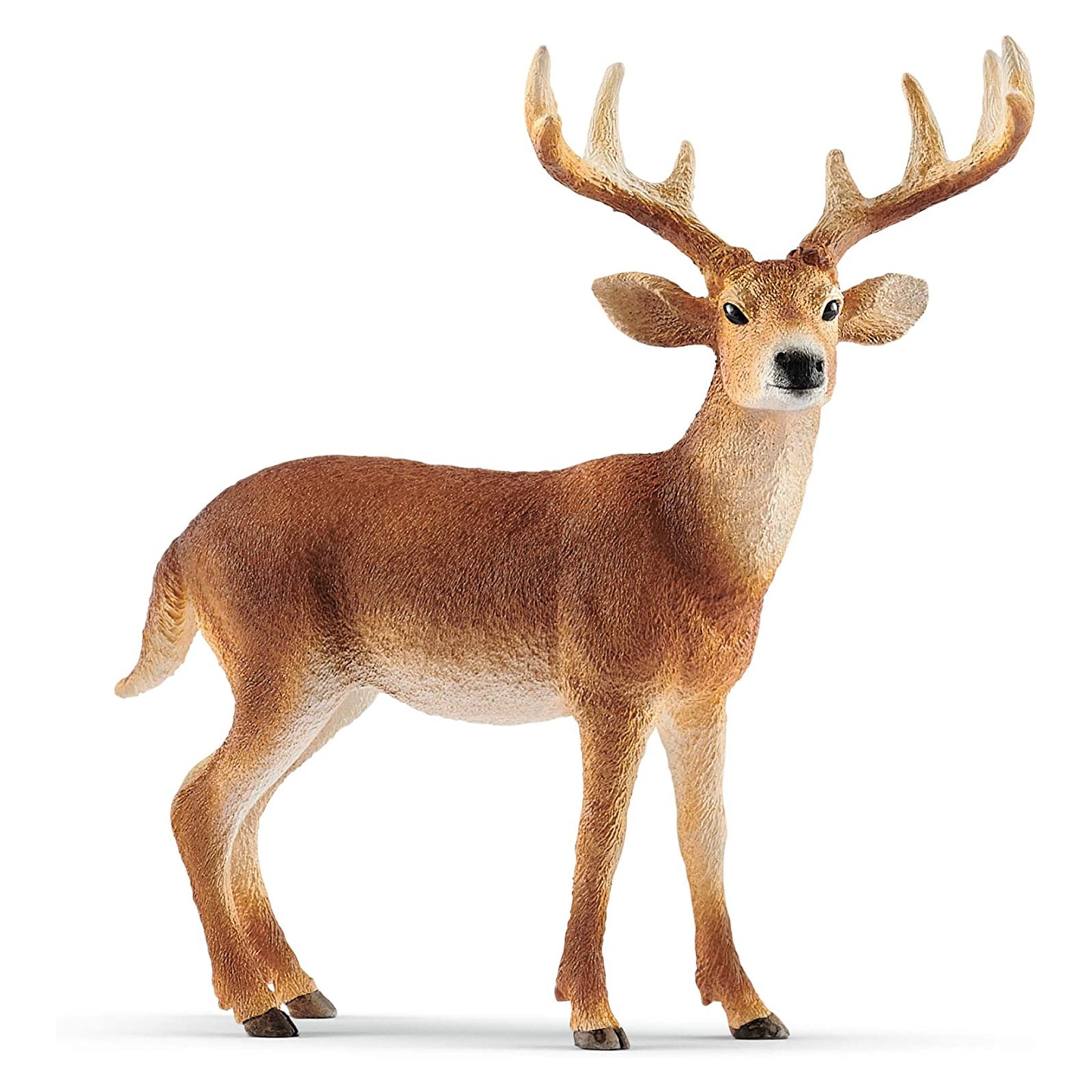 Schleich - Wild Life - 14818 Weißwedelhirsch