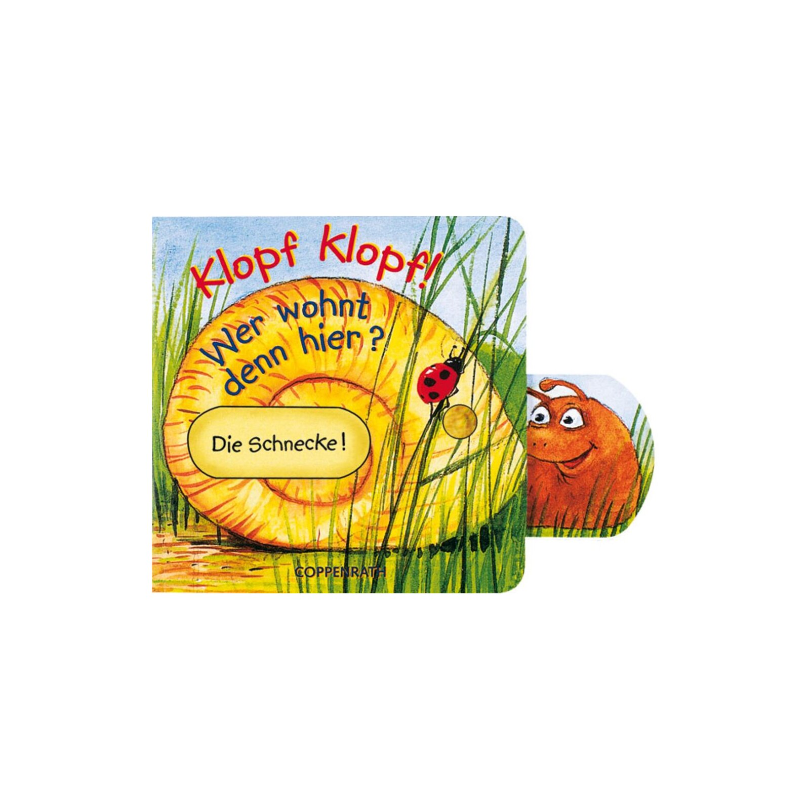 Coppenrath - Mini-Pappe mit Schiebern: Klopf klopf! Wer wohnt denn hier?