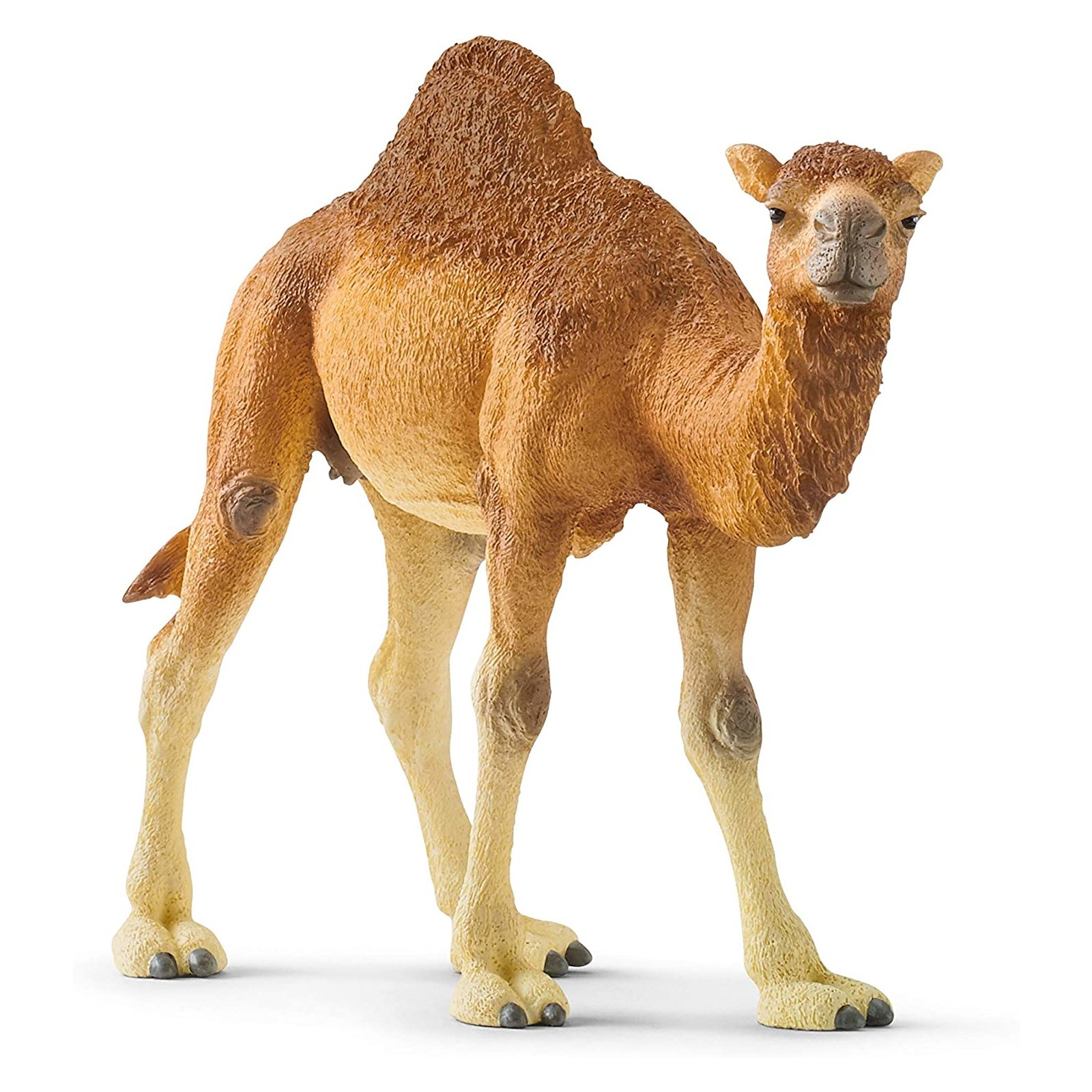 Schleich - Wild Life - 14832 Dromedar