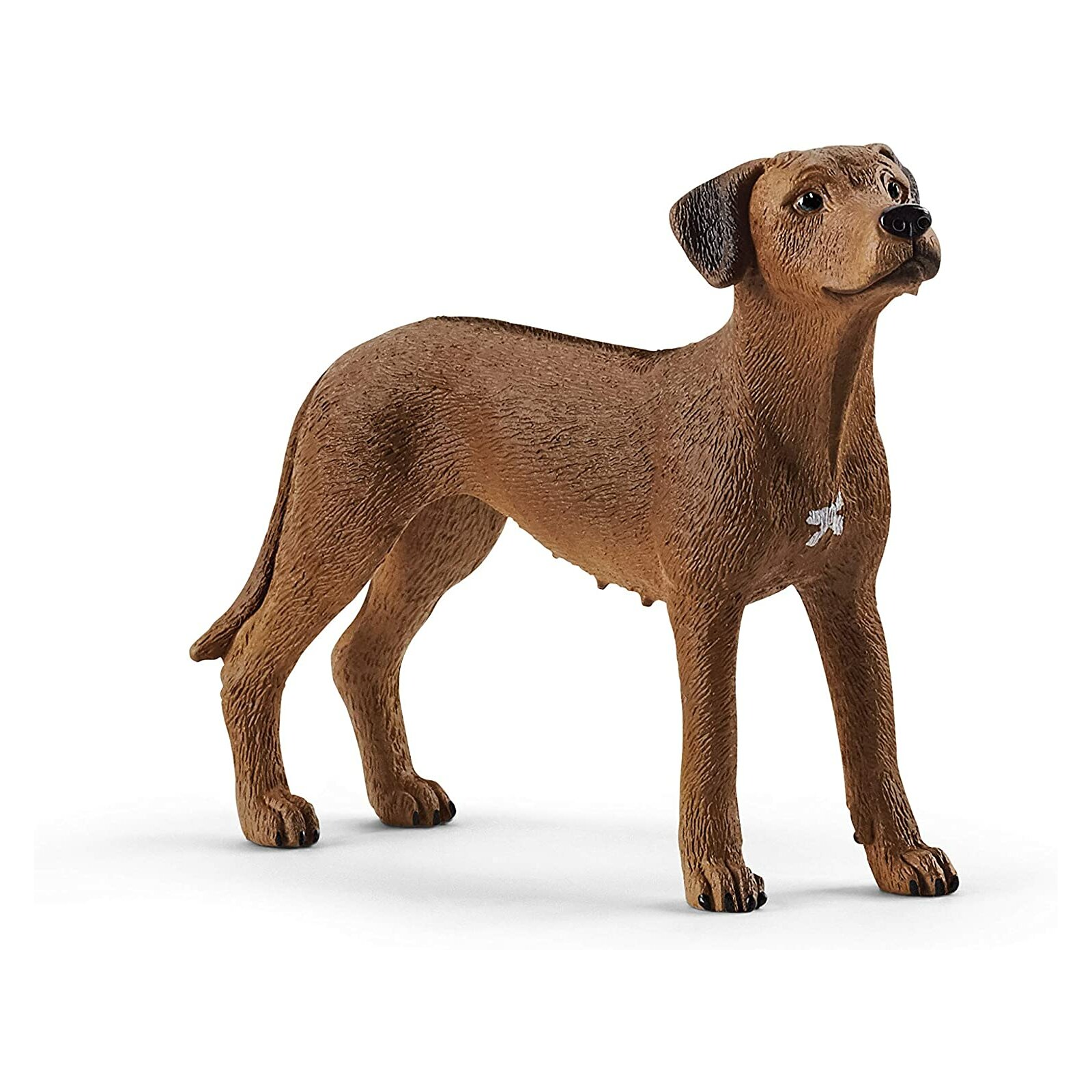 Schleich - Farm World - 13895 Rhodesian Ridgeback (A)