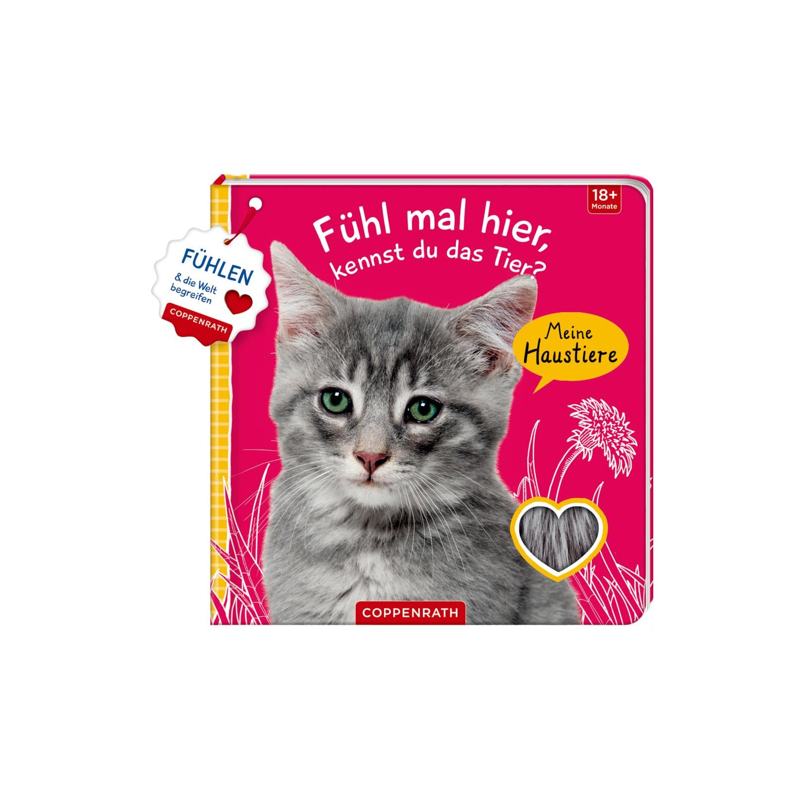 Coppenrath - Fühl mal hier,kennst du das Tier? Meine Haustiere