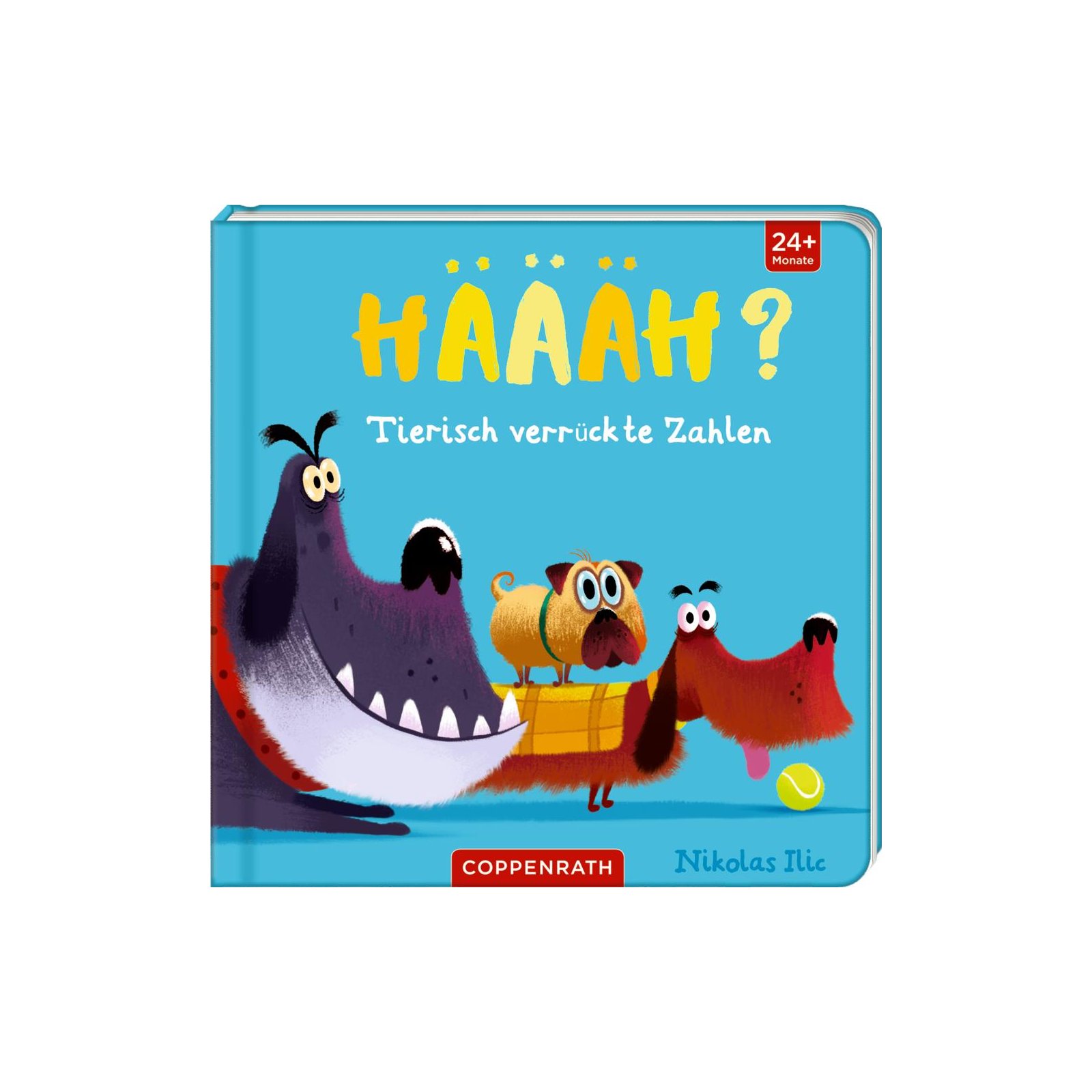 Coppenrath - Häääh? - Tierisch verrückte Zahlen
